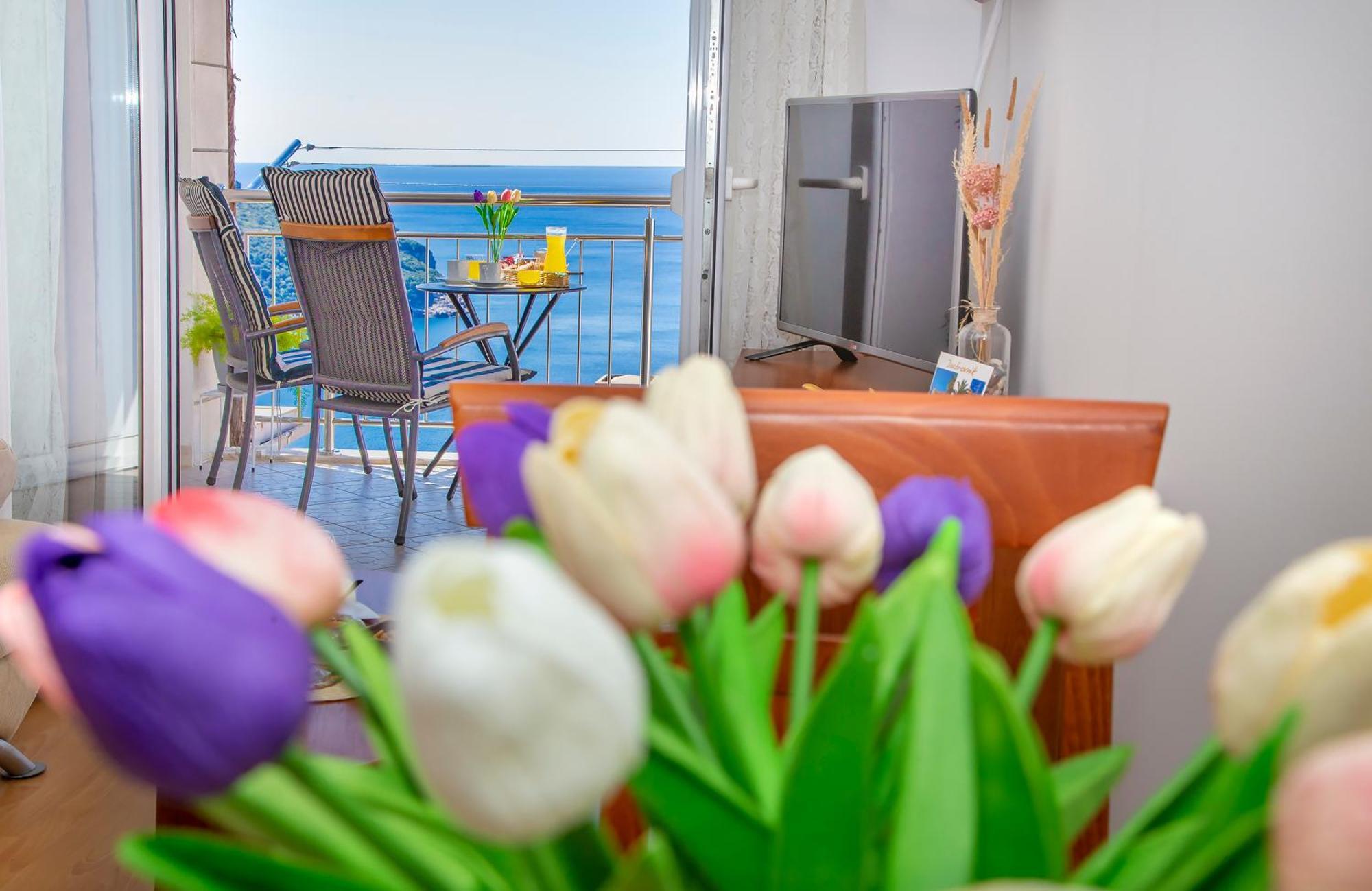 Apartment Superb View